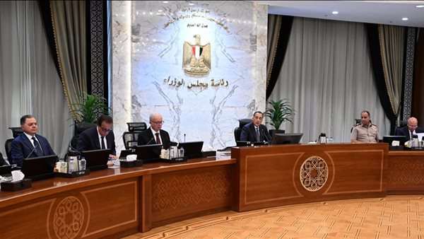 مجلس الوزراء يعلن عن استمرار العمل عن بُعد وتطوير التعليم العالي