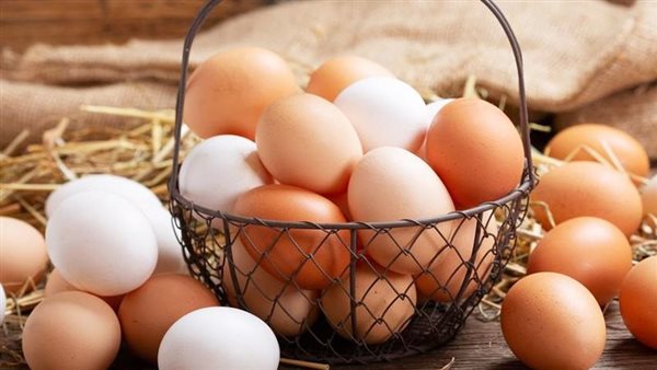 خبراء التغذية يحذرون: بيض السالمونيلا يحتاج إلى طهي جيد لتجنب المخاطر