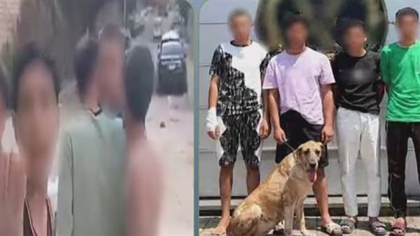 الداخلية تكشف عن 3 وقائع مثيرة للجدل في القاهرة والإسكندرية