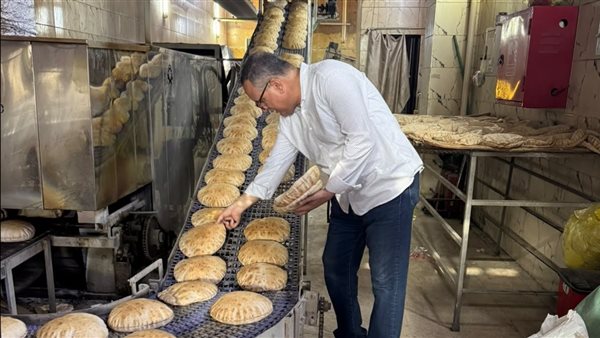 ضبط كميات ضخمة من المازوت والبنزين والدقيق في حملات تموينية بالدقهلية