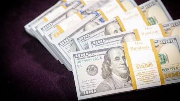 استقرار سعر الدولار في البنوك المصرية وسط ترقب للتوجهات المستقبلية