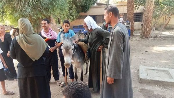 أسيوط تعزز جهودها لمكافحة مرض السعار والتحصين ضد الأوبئة الحيوانية