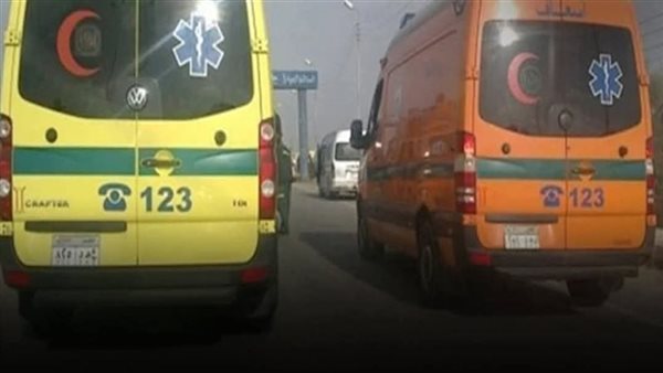 مأساة في الدقهلية: مصرع شابين وإصابة آخر في مشاجرة