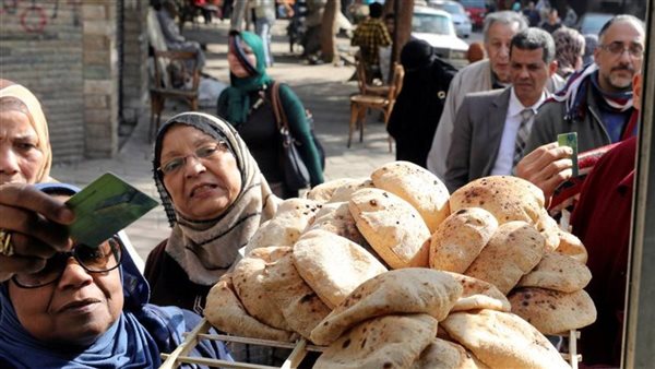 استهلاك القمح في مصر: تحديات وأسباب تفسر ارتفاع المعدلات