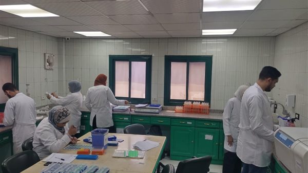 أكثر من مليون طن بطاطس جاهزة للتصدير استعدادًا للموسم الجديد