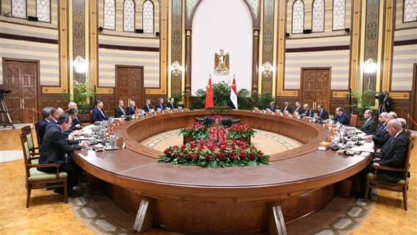 السيسي يؤكد أهمية نهر النيل خلال مباحثات مع الرئيس الصيني