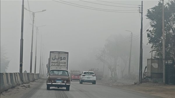طقس حار ورطب في انتظار المصريين غدًا السبت