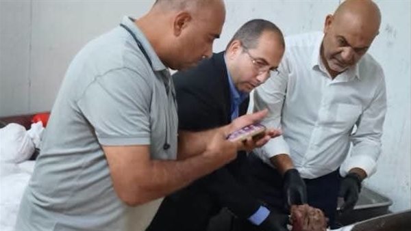 9 آلاف رأس ماشية و1.3 مليون طائر حصاد القليوبية في أغسطس