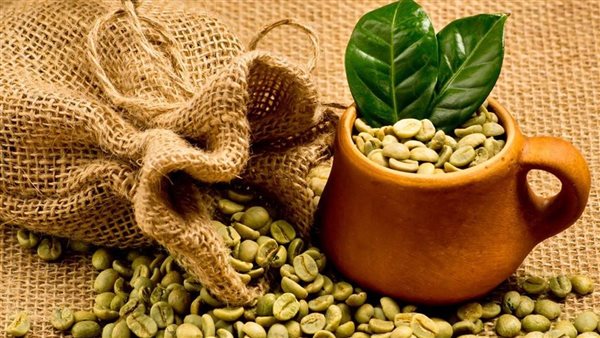 اكتشف فوائد القهوة الخضراء للصحة والرشاقة