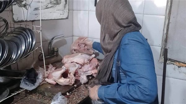 حملات بيطرية مكثفة لضمان سلامة الغذاء في كفر البطيخ بدمياط