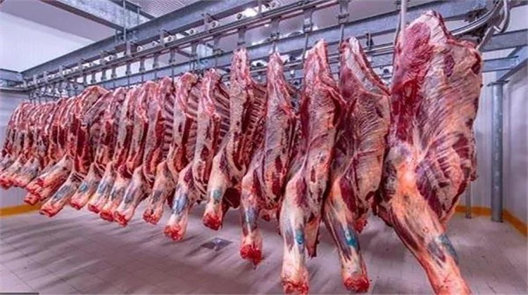 الركود يضرب سوق اللحوم: إغلاق 6 محال جزارة شهرياً