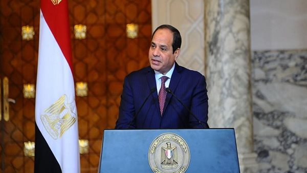 إنهاء عضوية هيام نظيف من المجلس القومي للطفولة والأمومة