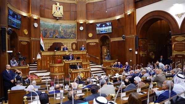 مجلس الشيوخ يستعد لإعادة تشكيل اللجان النوعية في أكتوبر المقبل