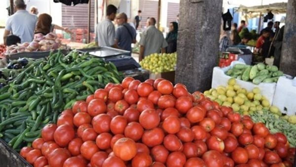 أسعار الطماطم تواصل الارتفاع.. توقعات بوصولها إلى 50 جنيهًا للكيلو