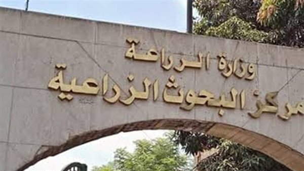 مركز البحوث الزراعية يحقق إنجازات بارزة في إنتاج التقاوي بمناسبة عيد الفلاح الـ74