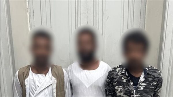 ضبط أشقاء بعد فيديو يوضح تعطيل حركة المرور بشوارع الدقي