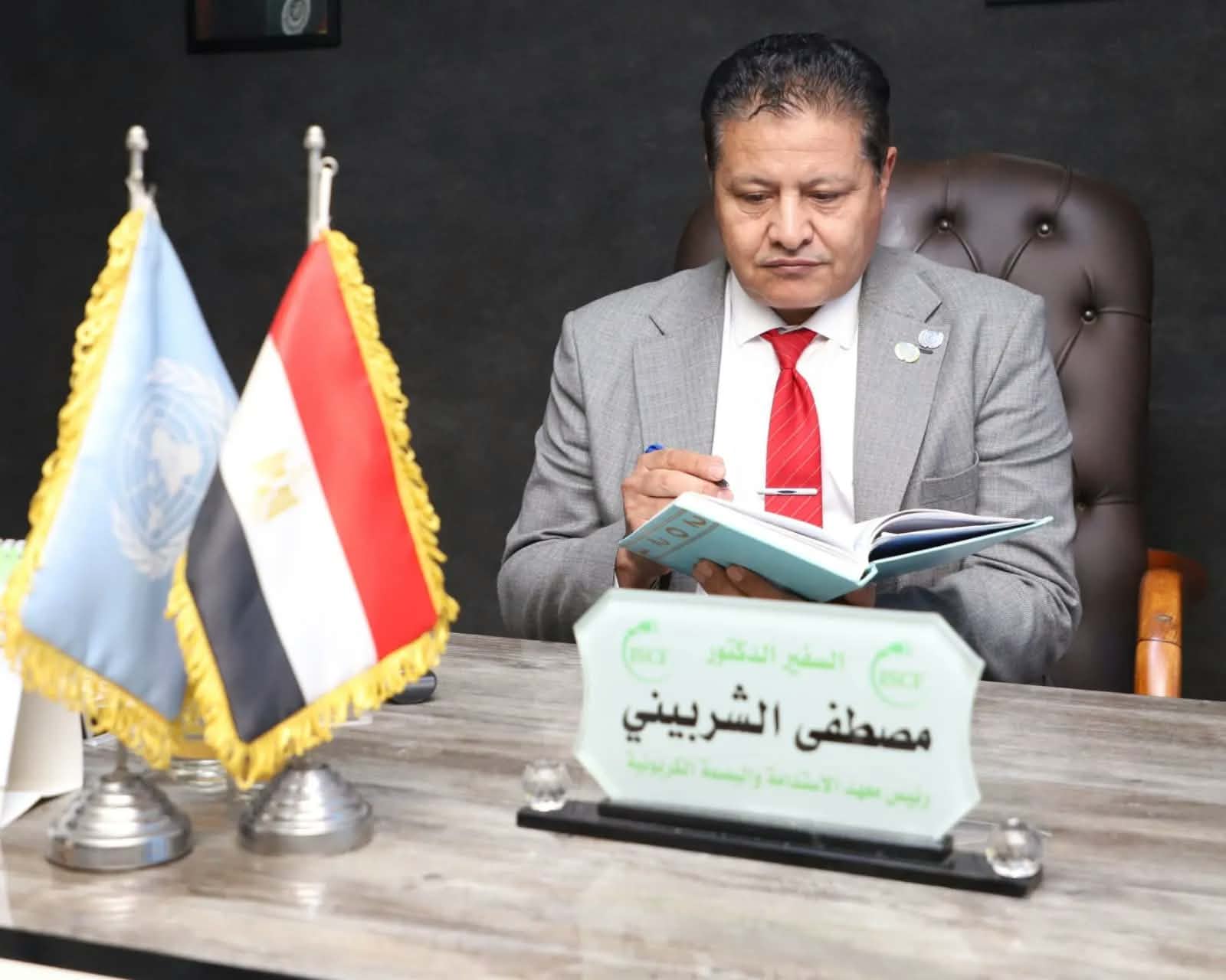 خبير مناخ يطالب بمحاسبة المسؤولين عن إزالة الأشجار بالقاهرة والجيزة