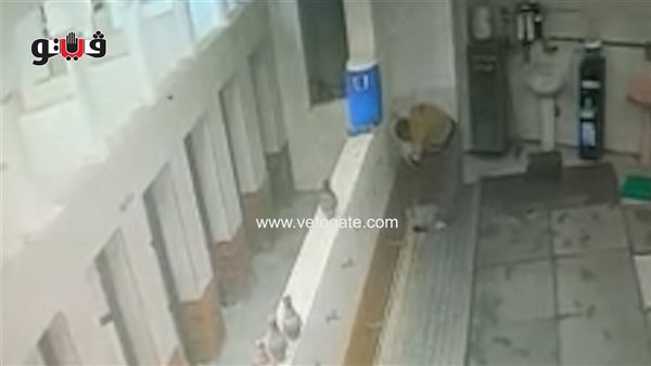 حبس متهم بسرقة صندوق تبرعات مسجد سيدي نجم الدين بالغربية