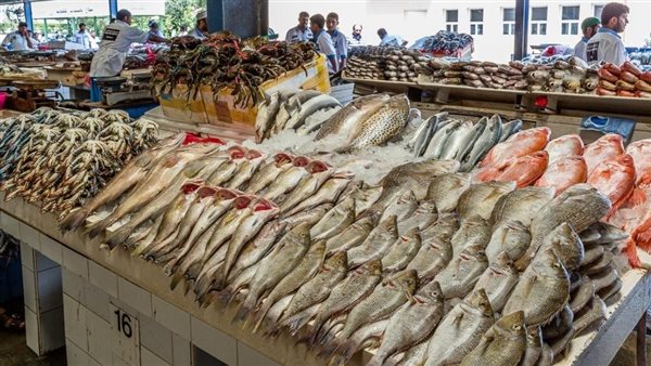 انخفاض أسعار الأسماك اليوم في سوق العبور وارتفاع الكابوريا