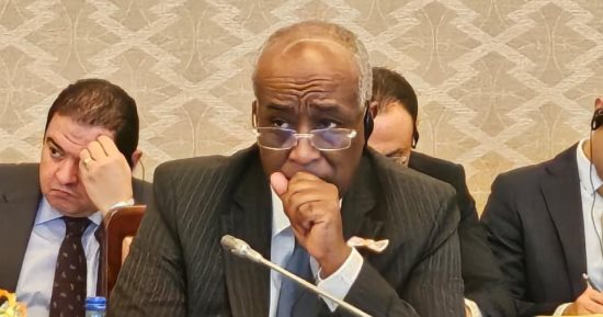 العلمين تستعد لاستضافة 3 قمم إفريقية لتعزيز الاستثمار والتنمية