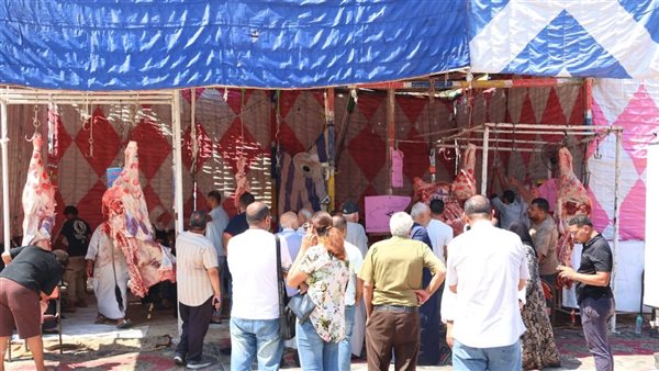 مبادرة لطرح اللحوم البلدي بـ300 جنيه للكيلو في معرض "أهلًا مدارس" بالإسماعيلية