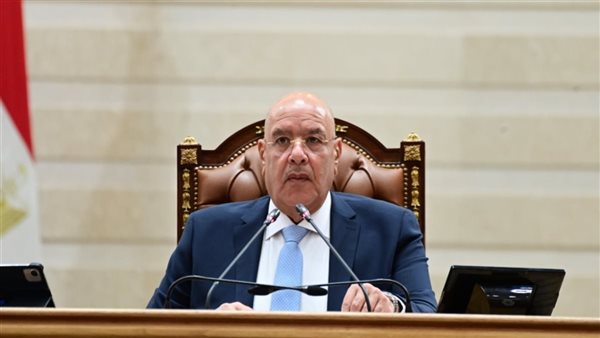 تعزيز التعاون المصري الأسترالي في لقاء افتراضي بين البرلمانين