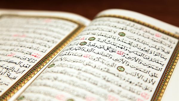 أمين الفتوى: اجتهاد القارئ في القرآن يُكافأ بأجرين