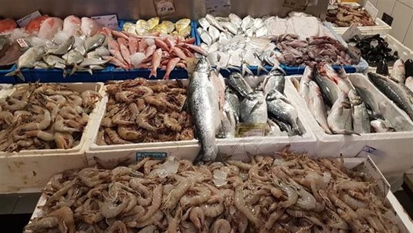 ارتفاع مفاجئ في أسعار السمك اليوم و انخفاض الجمبري بـ40 جنيهاً