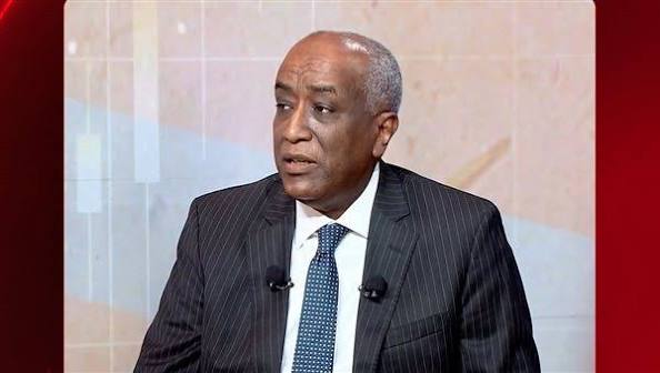 استثمارات مصرية تتجاوز 14 مليار دولار لتعزيز التنمية في إفريقيا