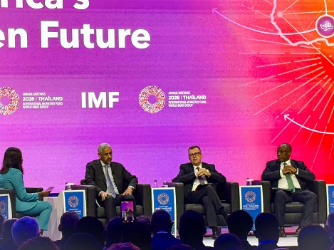 وزير التخطيط: تعميق التصنيع في إفريقيا مفتاح التنمية المستدامة