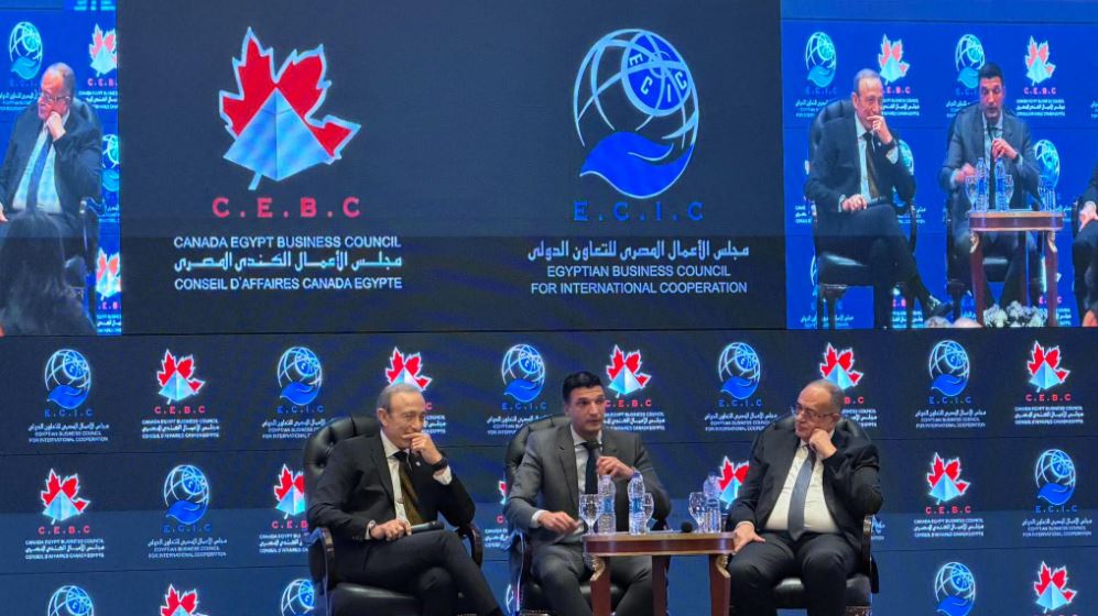 مصر تتجه لوقف تصدير الخامات التعدينية لتعزيز التصنيع المحلي
