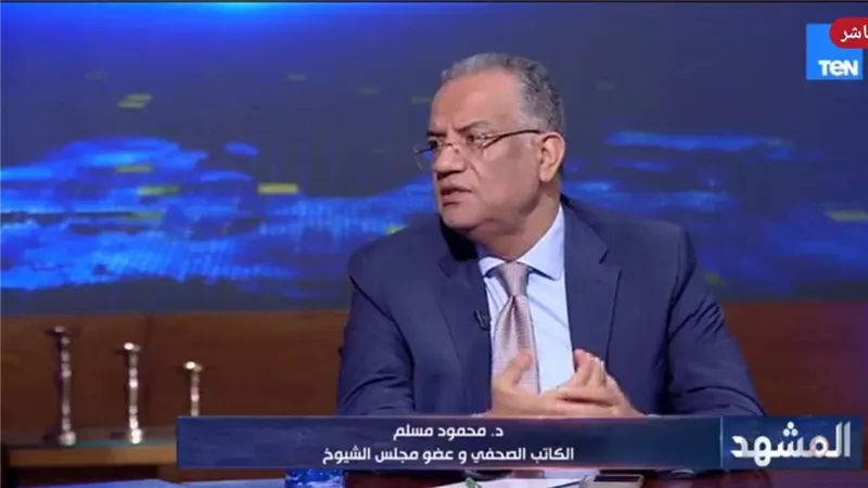 تفاصيل جلسات تفويض الجيش المصري للدفاع عن السعودية تتكشف