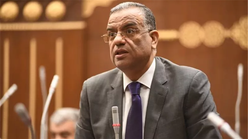 عضو بمجلس الشيوخ يدعو لتحرك مصري فعّال بعد اتفاق ليبيا وتركيا