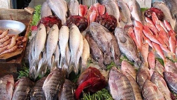 استقرار أسعار الأسماك في سوق العبور خلال تعاملات اليوم