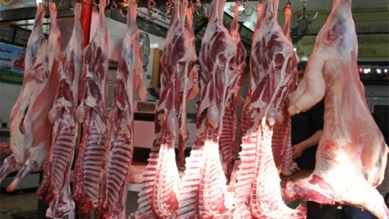 أسعار اللحوم اليوم: الضاني يبدأ من 320 جنيهاً والكندوز يتراوح بين 280 و540 جنيهاً