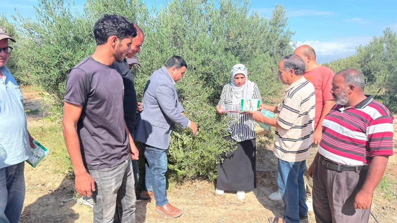 وزارة الزراعة تطلق حملة قومية لمكافحة القوارض بعد موسم الحصاد الصيفي