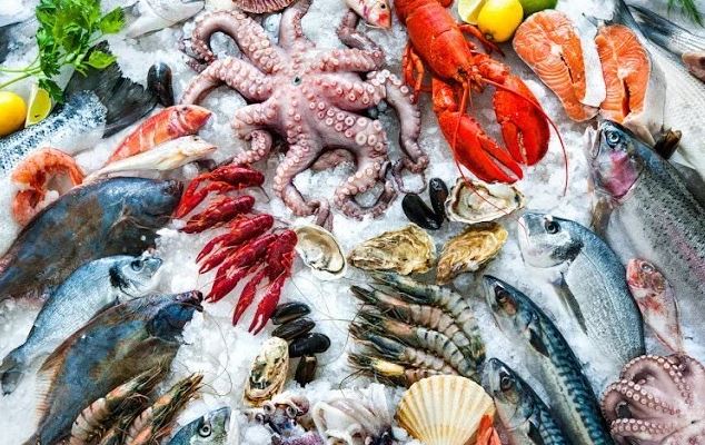 استقرار أسعار الأسماك في سوق العبور خلال تعاملات اليوم
